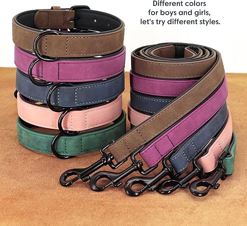 Miniatura 7 de Didog Juego de collar y correa de cuero acolchado suave para perro, correa y collar resistente con hebilla de metal, collares transpirables para