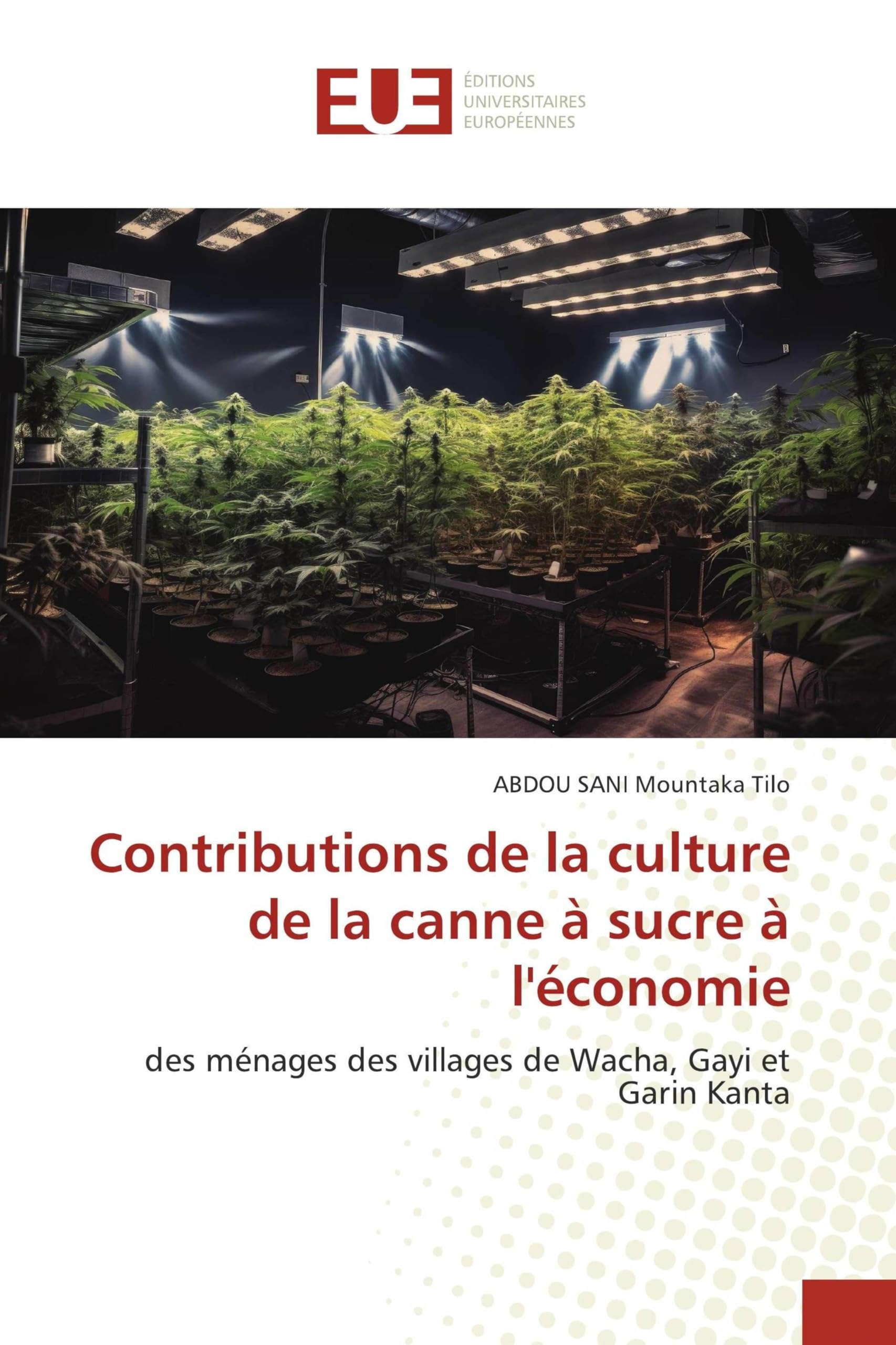 Contributions de la culture de la canne à sucre à l'économie: des ménages des villages de Wacha, Gayi et Garin Kanta
