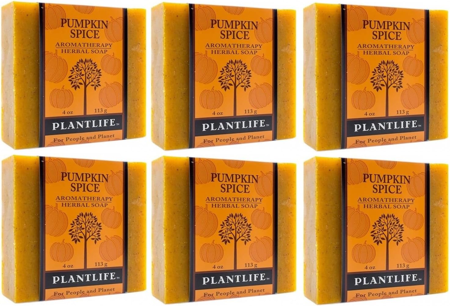 Plantlife Pumpkin Spice 6-pack Bar Soap - Moisturizing and Soothing Soap for Your Skin - Hand Crafted Using Plant-Based Ingredients - Made in California 4 oz Bar