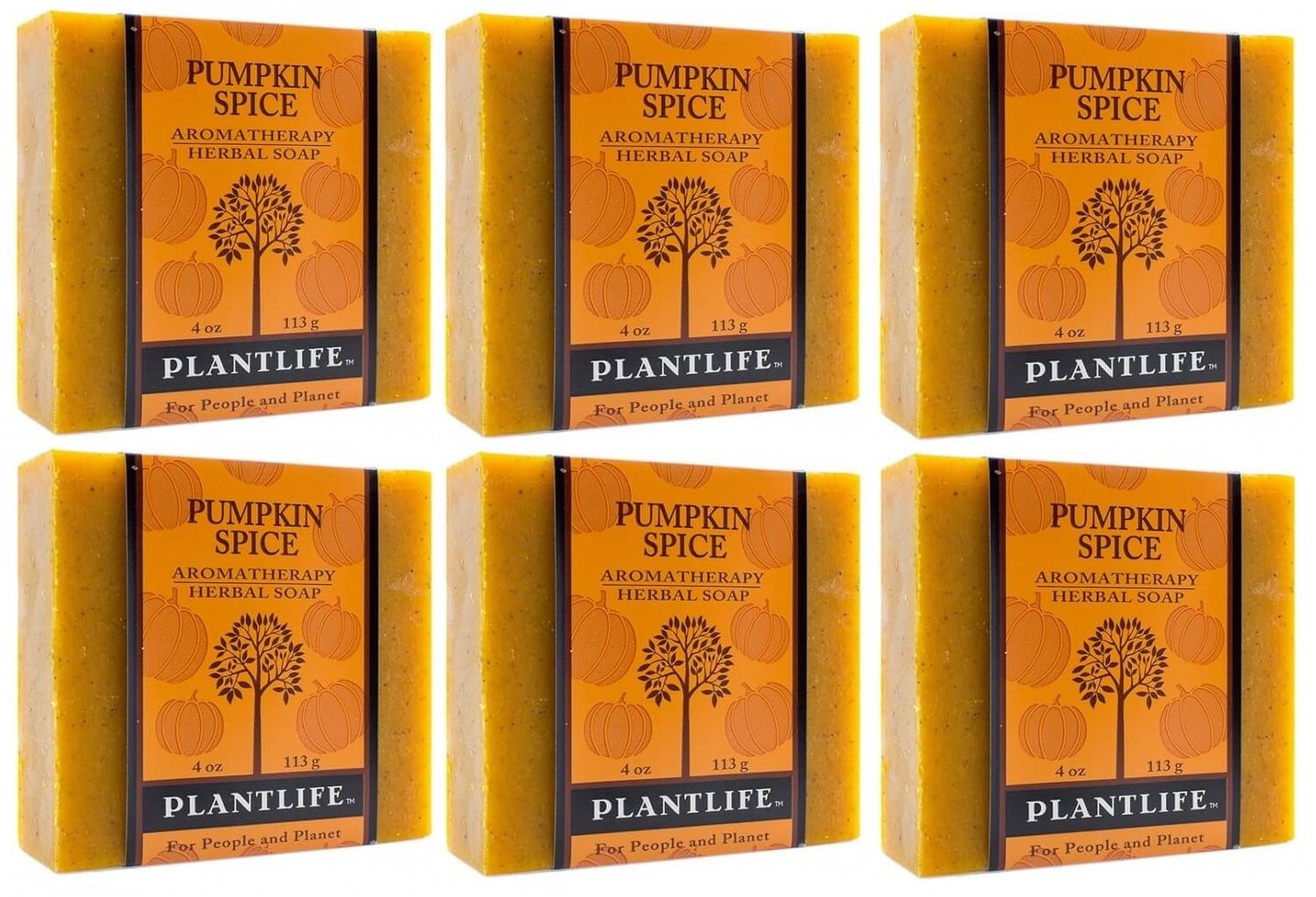 Plantlife Pumpkin Spice 6-pack Bar Soap - Moisturizing and Soothing Soap for Your Skin - Hand Crafted Using Plant-Based Ingredients - Made in California 4 oz Bar