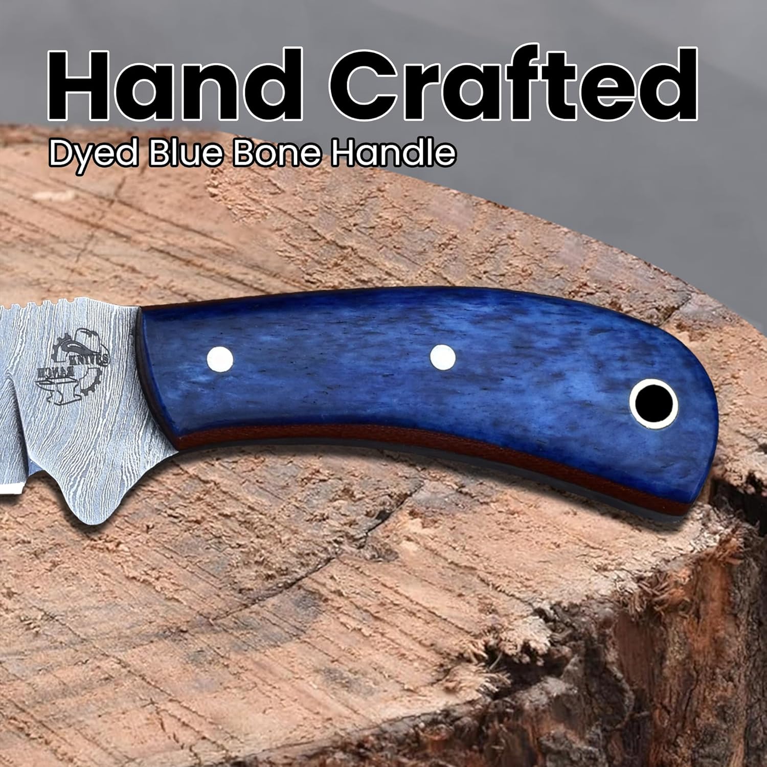 Knives Ranch EDC Fixed Blade Knife, Damascus Skinning Knife, Cattle Bone Handle and Horizontal Carrying Sheath Snug Fit (2006-BLU)