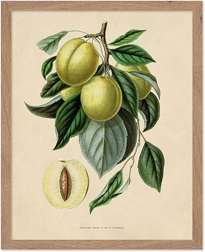 Miniatura 56 de Poster Master Póster de flores vintage, estampado botánico retro, arte floral antiguo, arte de plantas, regalo para hombres y mujeres, gran