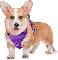 Vista 63 de BARKBAY Arnés para Perro Sin Tirones Talla Grande Arnés Reflectante para Perro con Clip Frontal y Asa de Control Fácil para Caminar Entrenar Correr