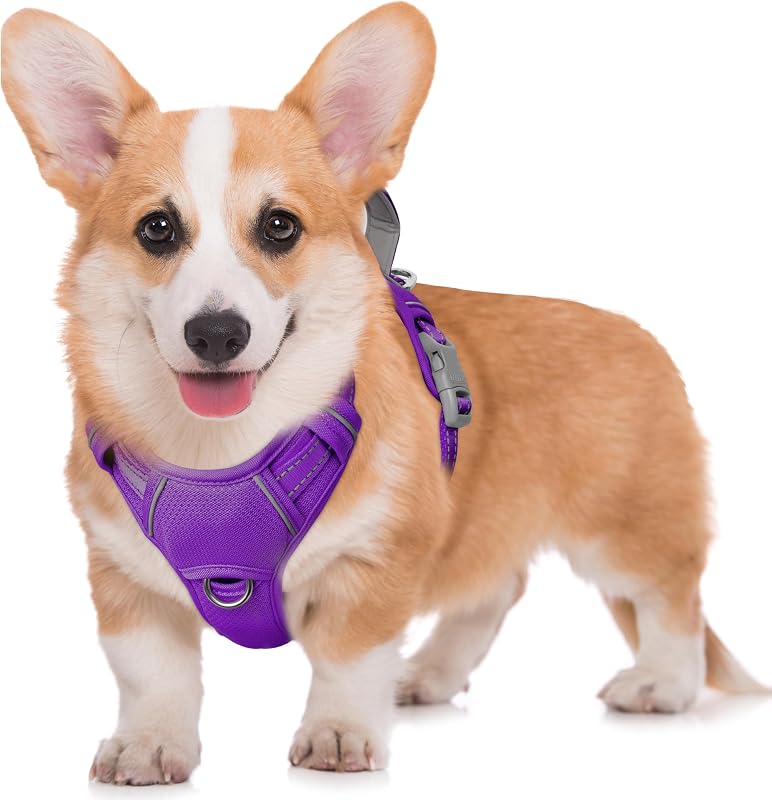Peitoral Vest para Cães BARKBAY No Pull com Guia Frontal, Faixas Refletivas e Bolso para Identificação Roxo (M)