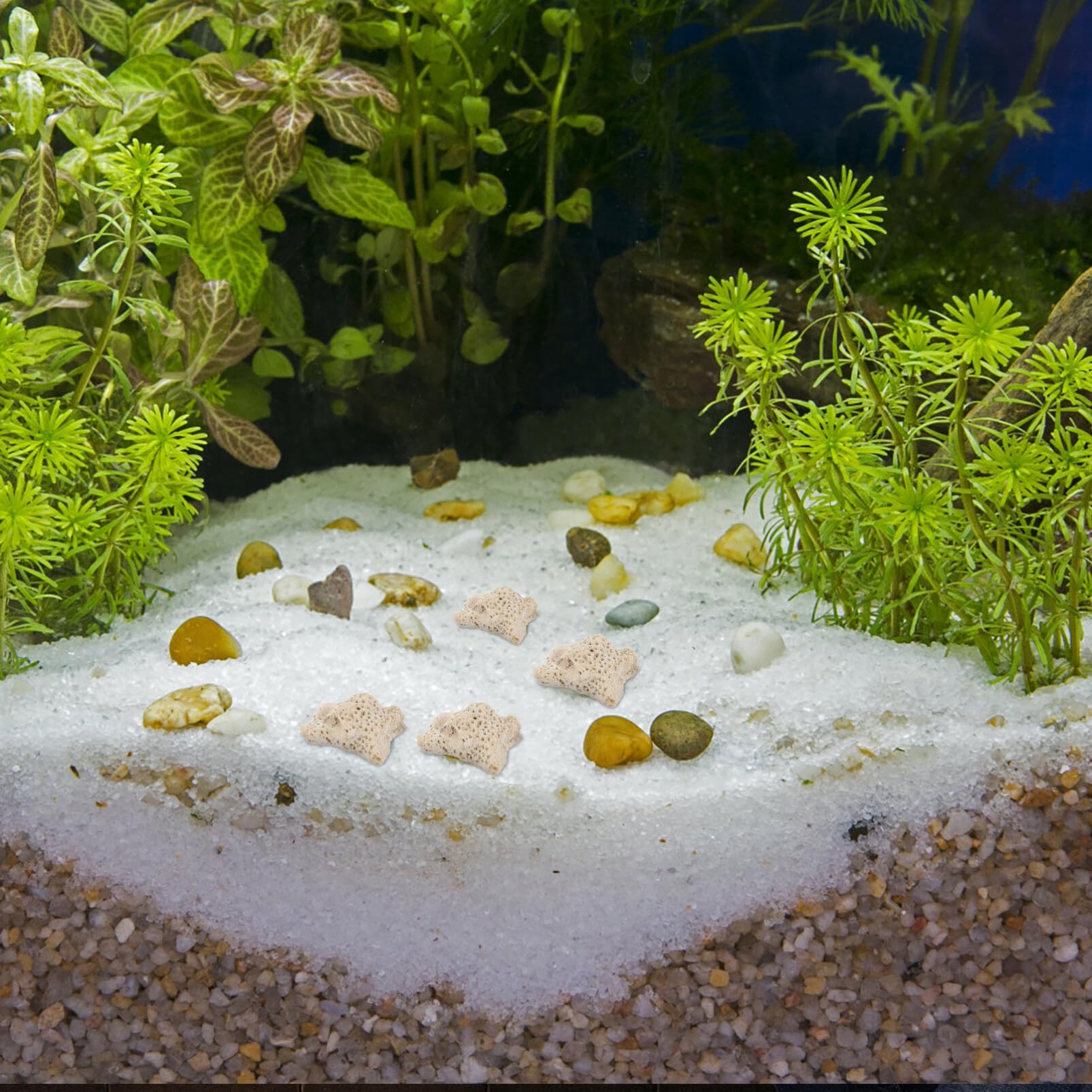 BESPORTBLE 1 Crushed Coral Materiaal Vijver Verpletteren