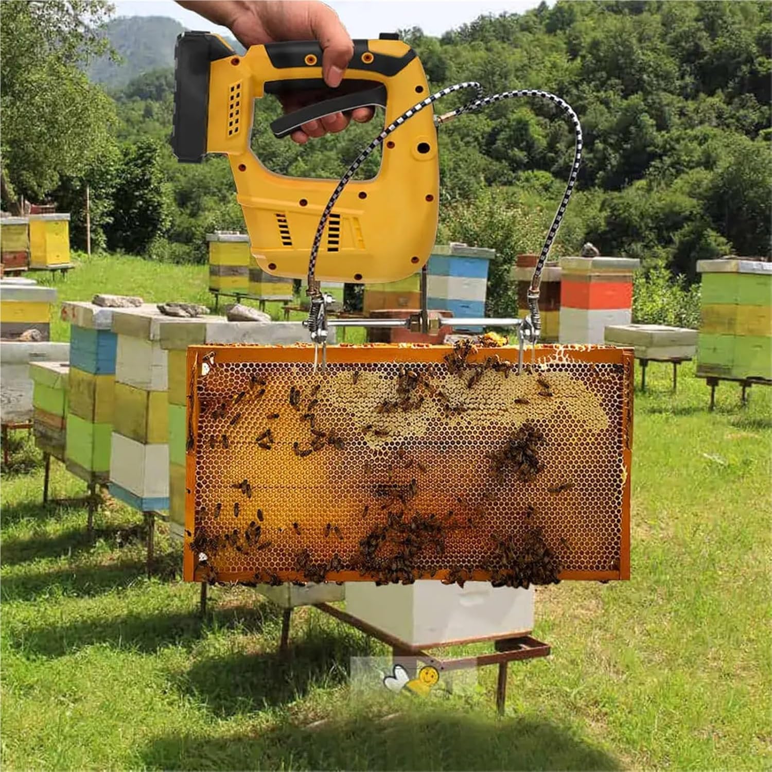 新品　ロデオ185 ストライプカラー CB ONE シービーワン Rodeo ロデオ 185 ストライプカラー シービーワン