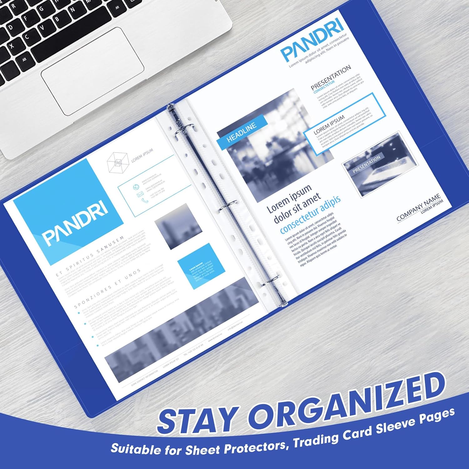 3 Ring Binder 0.5 Inch, PANDRI 12 Pack 0.5-Inch Binder Fits Letter Size 8.5'' x 11'' Paper, Versatile Binders for Office Home School, 2 Pockets, Color