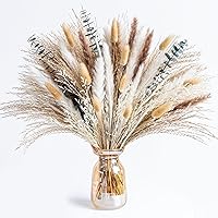 FloraDream Boho Pampas Grass & Eucalyptus Dried Bouquet - Rustic 15-17" Centerpiece for Weddings, Home & Table Decor