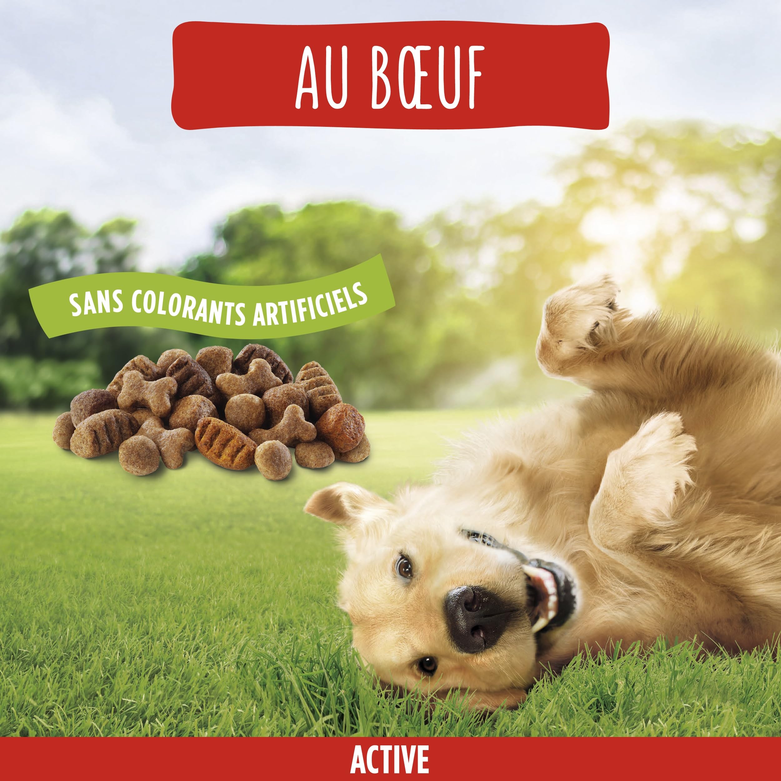 FRISKIES | Active | Chien | Croquettes pour Chiens Adultes | au Boeuf | Aide à Maintenir Un Niveau d'énergie élevé | Sac | 12 KG