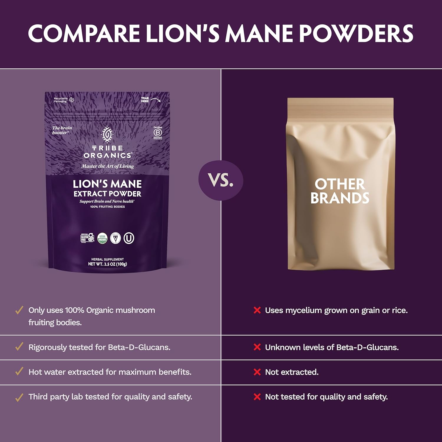TRIBE ORGANICS Lion’s Mane Powder - Organic Mushroom Extract Powder - Immune System Booster & Brain Nootropic for Focus and Memory - Natural Energy and Immunity - 100g Pouch - 100 Servings
