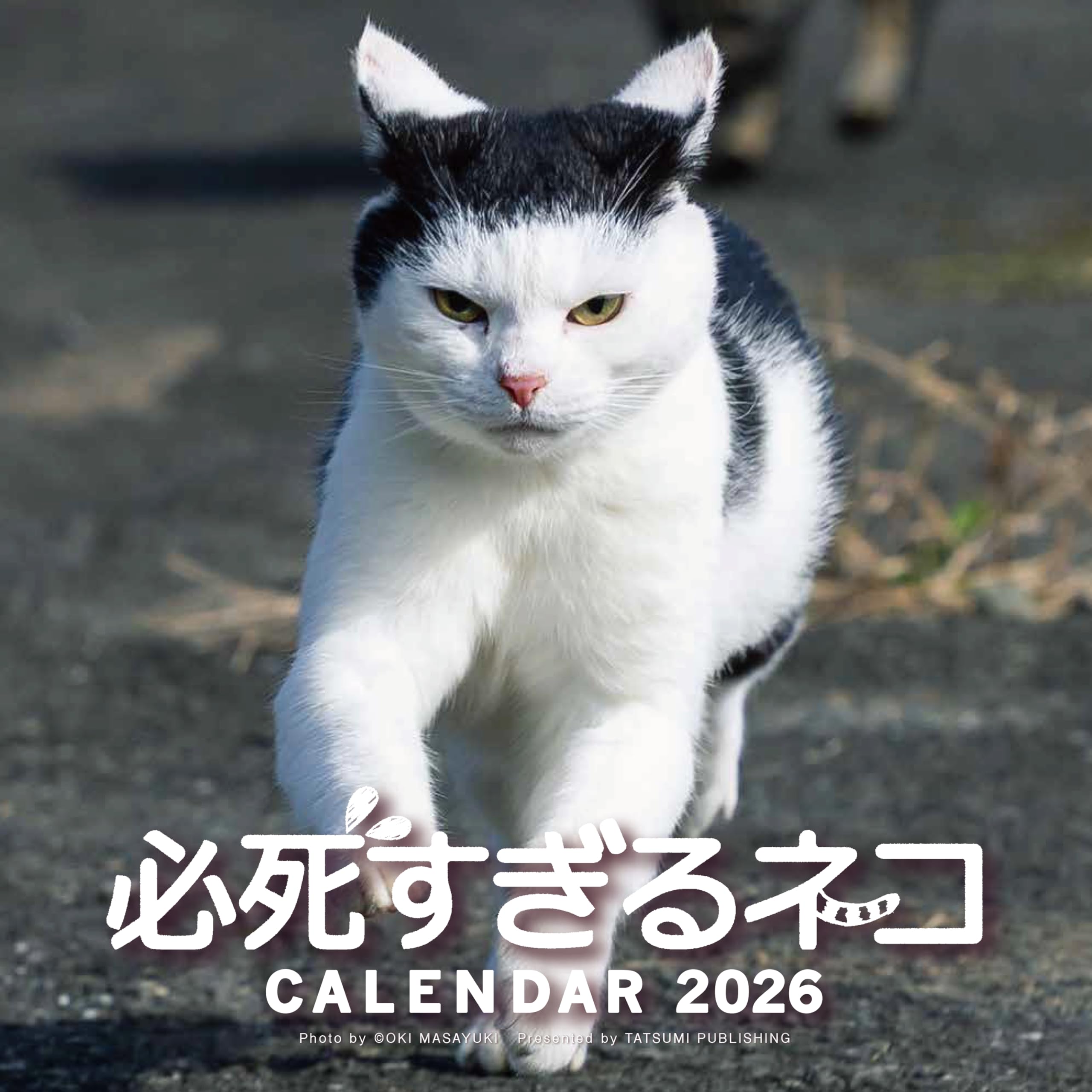 メルカリで24時間以内に売れなければ300円❗️「みんな待ってる花猫ニャンコ」 メルカリで24時間以内に売れなければ300円 「みんな待ってる花猫