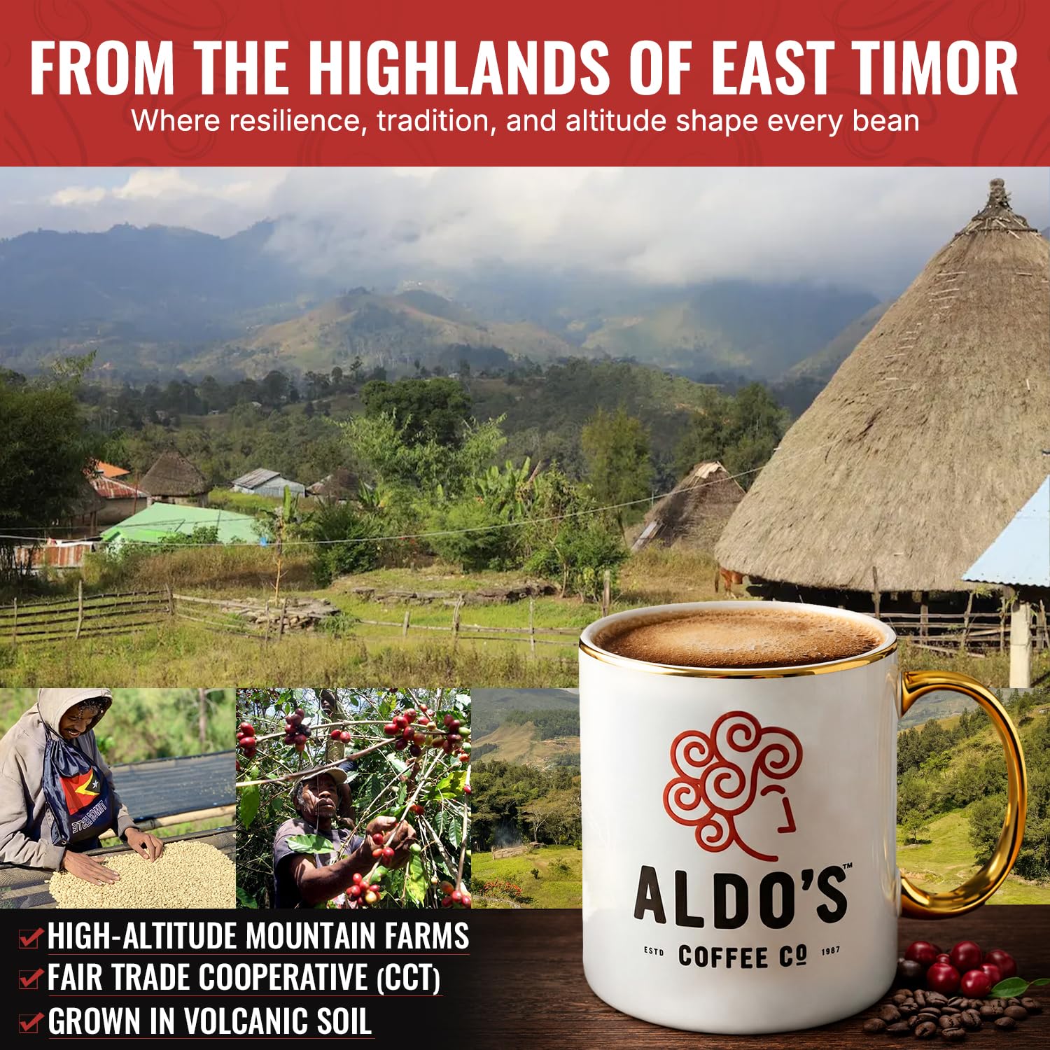 Aldo’s Coffee Co. Organic Water Process Decaf Coffee, Dark Roast, 100% Arabica from East Timor, 16 oz (Medium Fine Grind)