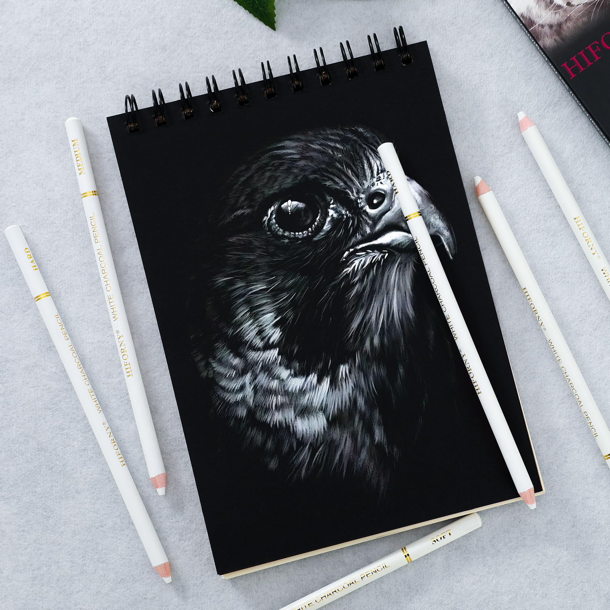 Amazon | HIFORNY ホワイトチャコール鉛筆 描画セット 8本 描画