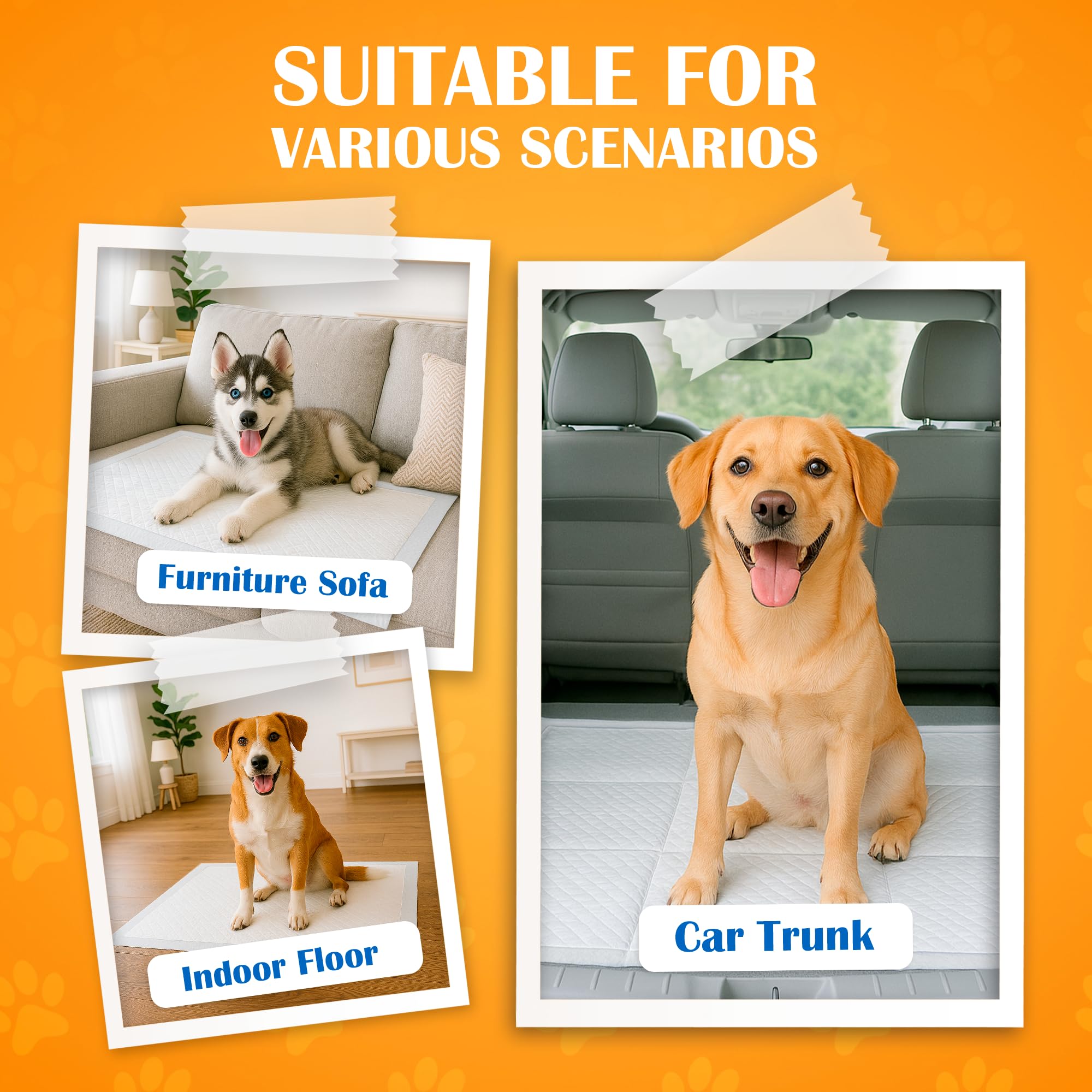 Paws & Claws Pet Supplies - Almohadillas para orina de perro, tamaño grande, 28 x 30 pulgadas, 40 unidades, 6 capas a prueba de fugas, súper absorbentes, capacidad para 8 tazas, protección las 24