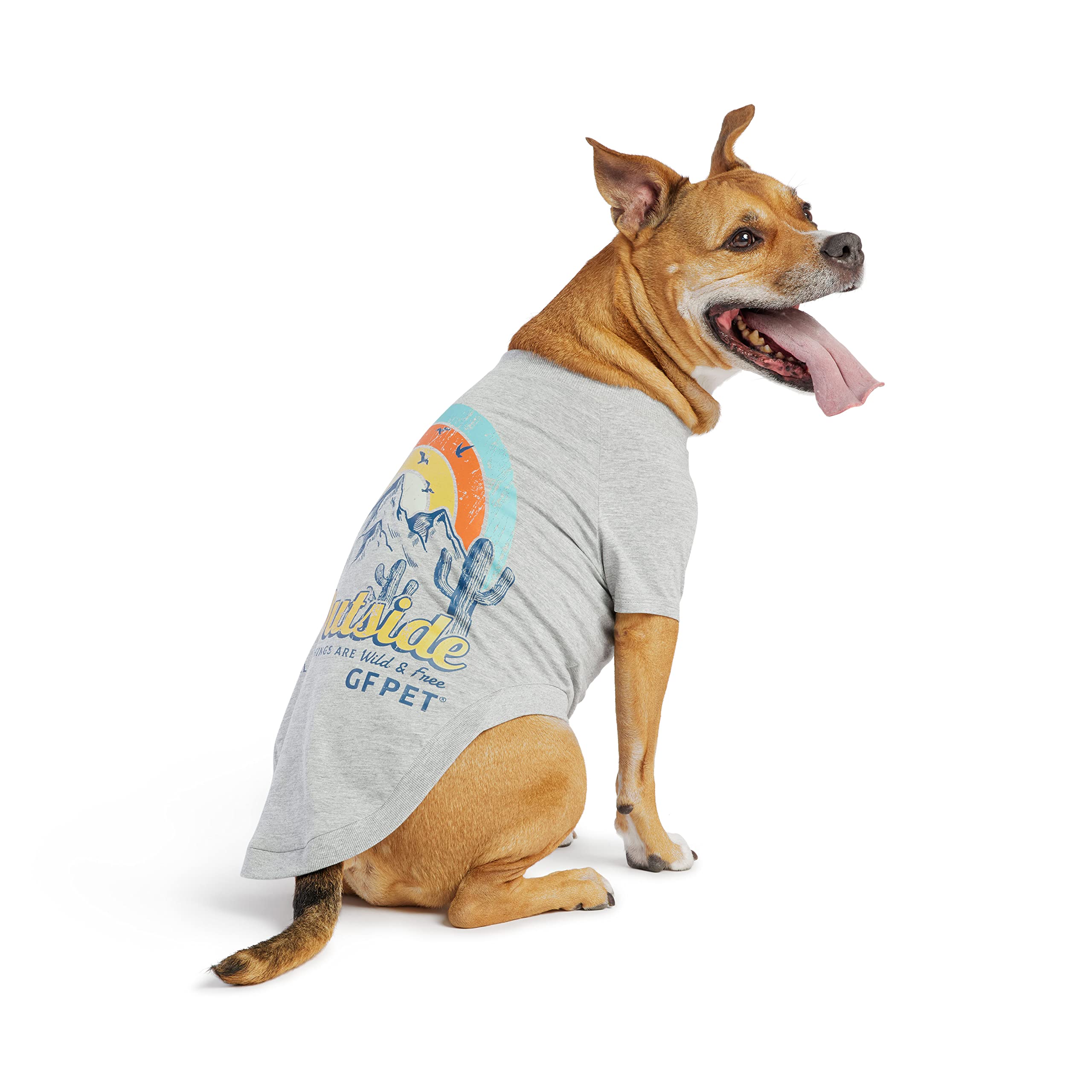 Amazon.com : GF Pet - Graphic Tee Dog T-Shirt (Heather Grey