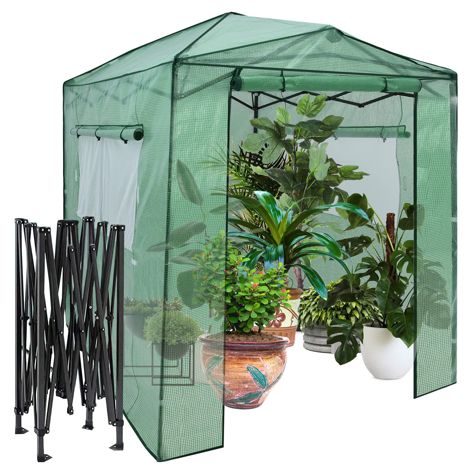 COSTWAY Serra per da Giardino 180 x 250 x 230 cm, Serra per Orto e Piante con Telaio Robusto, 2 Finestre Grandi e 2 Porte Arrotolabili con Doppia Cerniera, Serra da Eterno Pieghevole