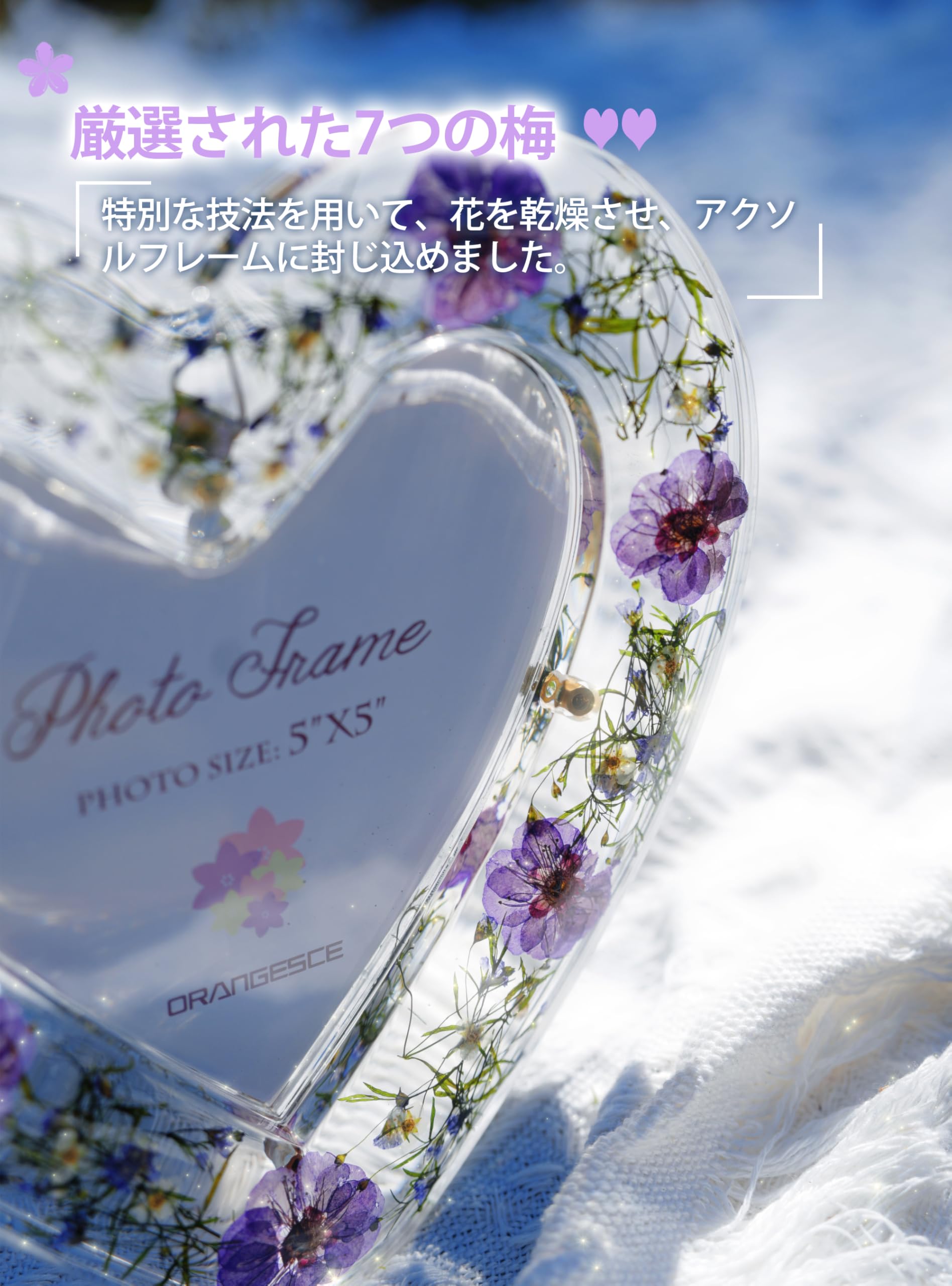 Amazon｜ORANGESCE ドライフラワーフレーム 、2L判 写真立て