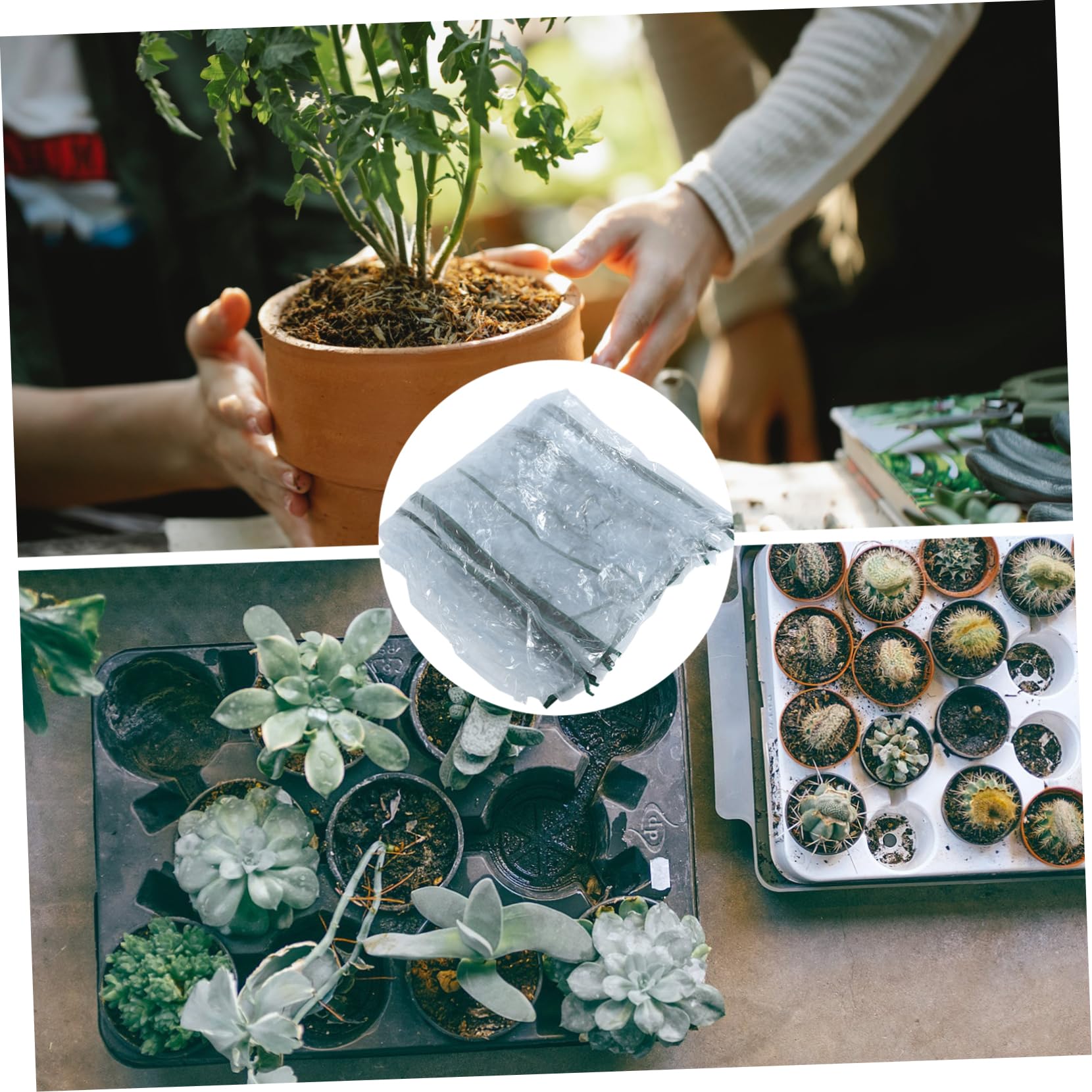 1pezzi Telo per Serra Copertura Protettiva per Piante Design e Resistente Facile da Conservare e Riutilizzare Adatto per Giardini e Terrazzi