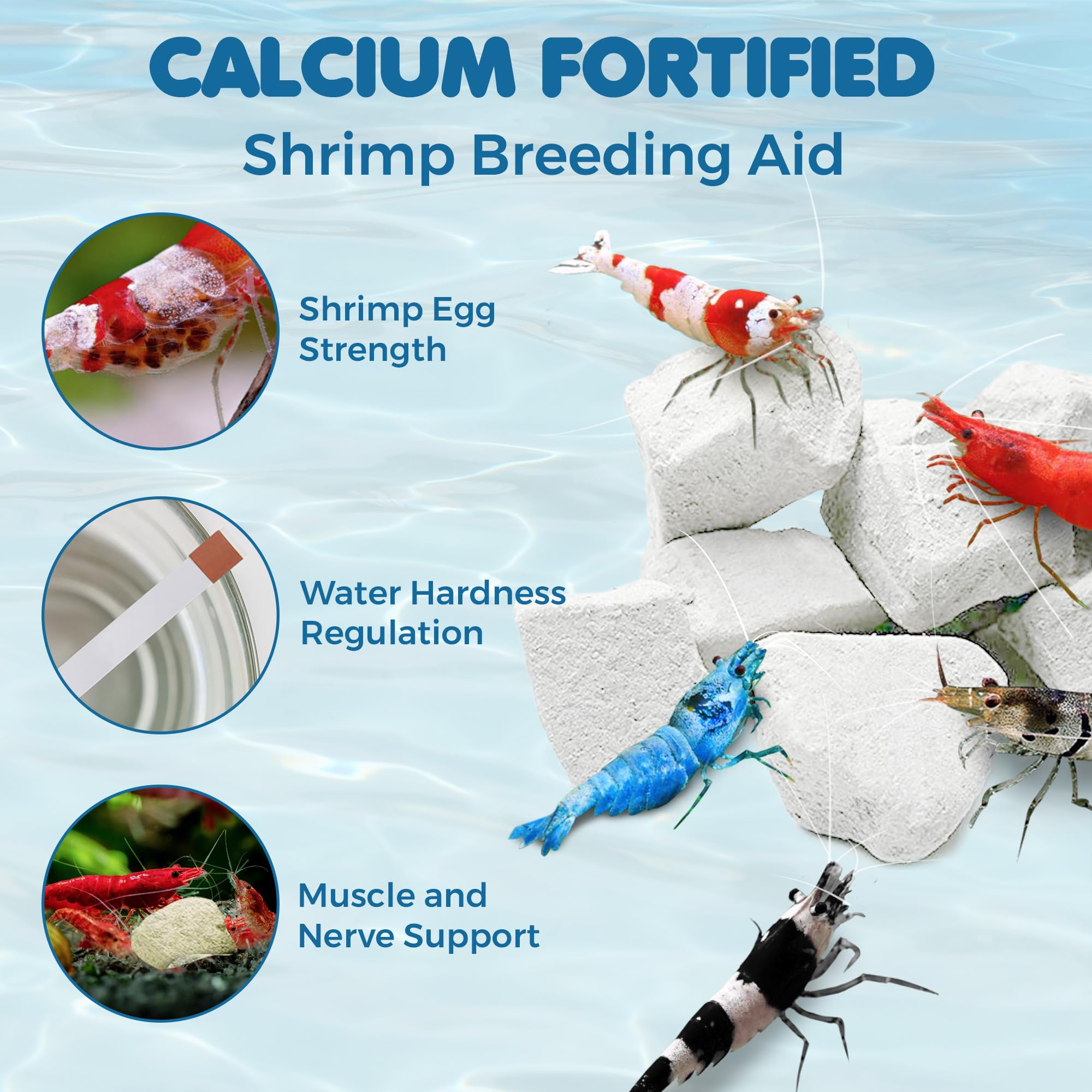 Marque : SunGrow SunGrow Roches de crevettes pour Aquarium, 113,4 g, Pierres de Calcium pour escargots, Roches de Calcium d'aquarium d'eau Douce, recréer l'habitat des crevettes, disques d'alimentation pour crabes et in use