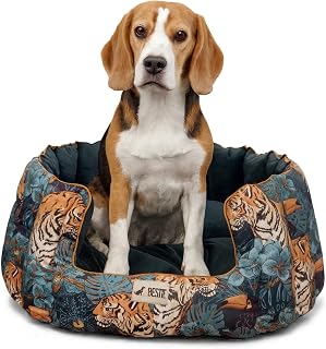 Medium Size Round High Wall Dog/Cat/Puppy/Rabbit/Kitten Bed with Removable Pillow- Washable, Sofa Beds, Non-Skid Bottom, Indoor/Outdoor- Green