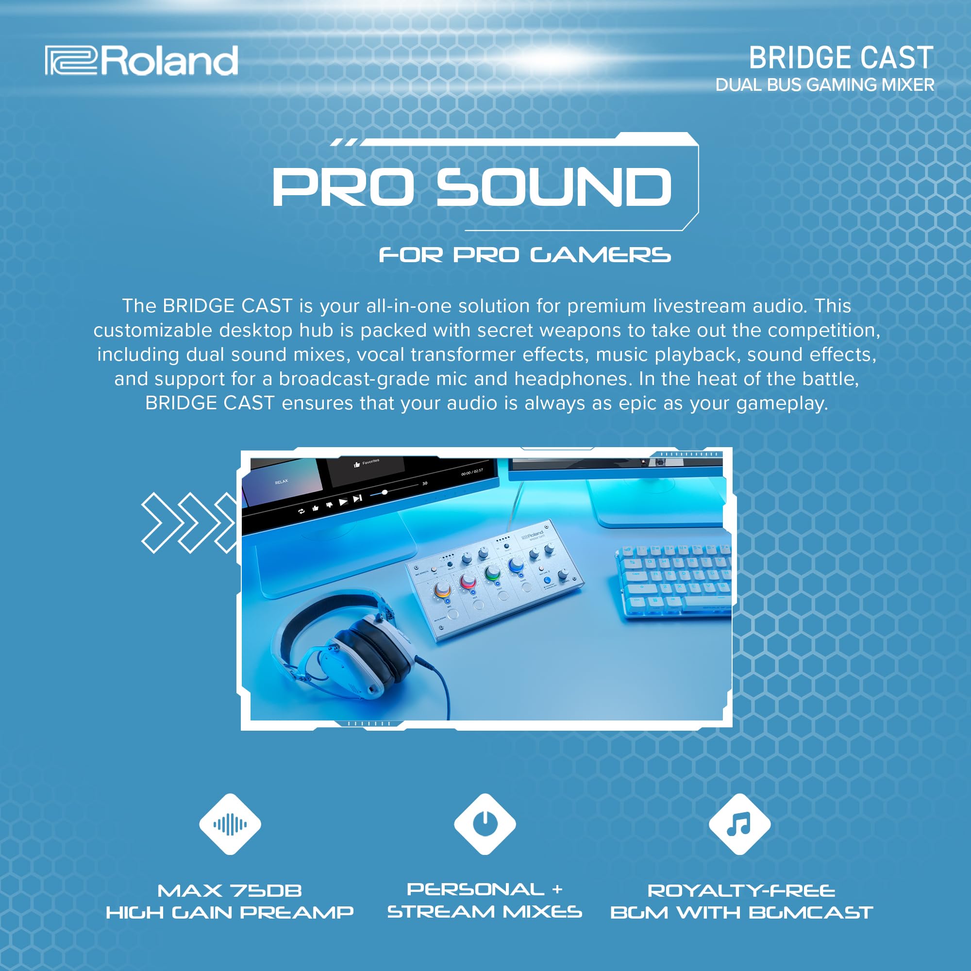 Amazon.co.jp: ローランド Roland BRIDGE CAST/ゲーミングDACアンプ 