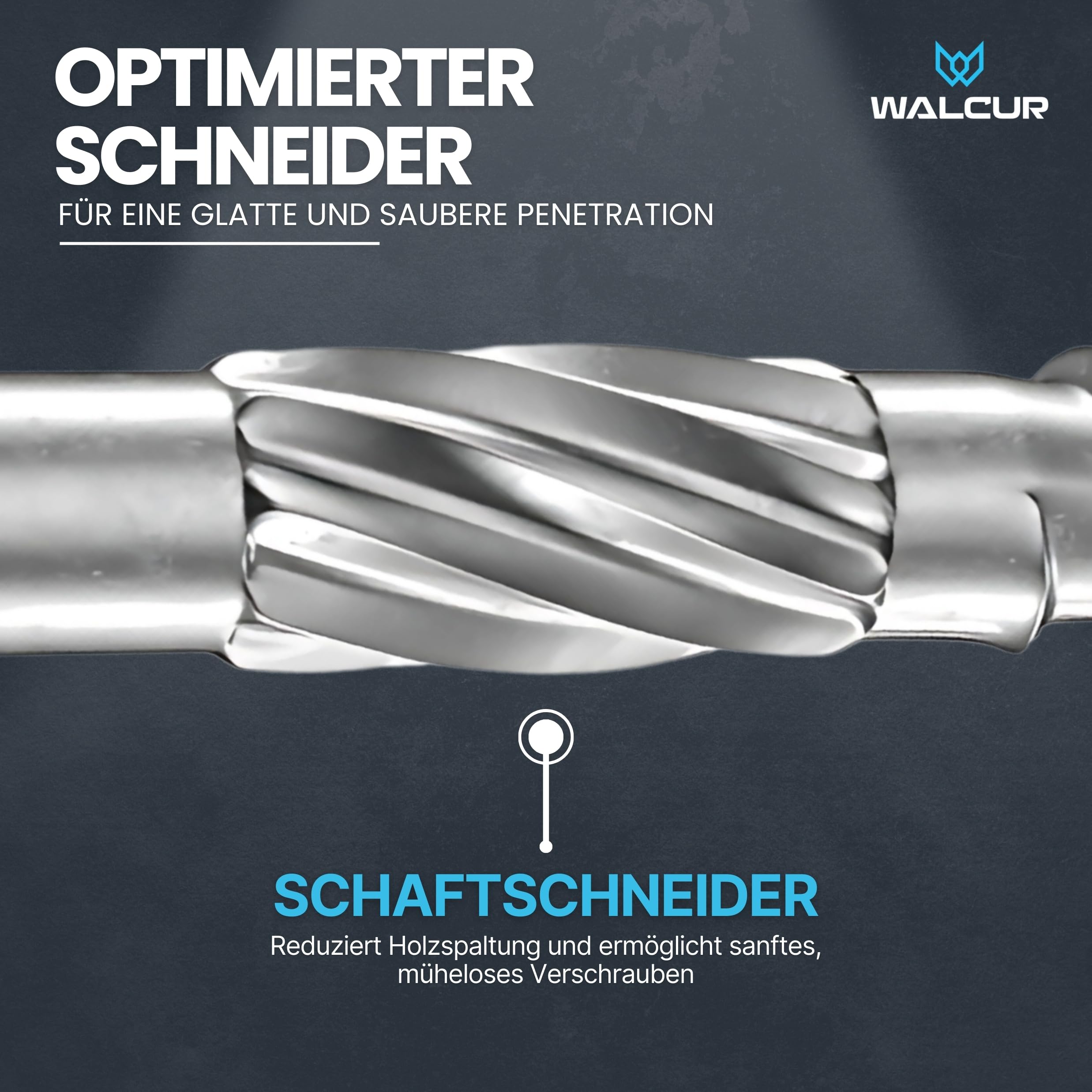GeZu Impex 1000 Stück Walcur Terassenschrauben 5 x 60 mm Edelstahl Torx + 2 Bits + 1 Bohrer Bohrschrauben Holzschrauben Holzbauschrauben