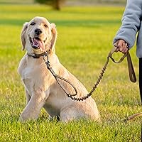 Vista 8 de EXCELLENT ELITE SPANKER Correa táctica para perro, ajustable, K9, militar, correa elástica para perro, cuerda elástica con 2 asas de control