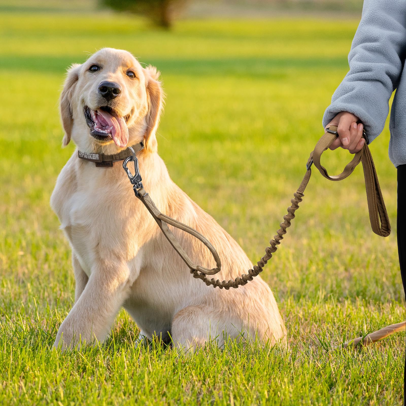EXCELLENT ELITE SPANKER Ceinture de Chien Tactique 5-6 Pieds Lourds réglables sans tirage Ceinture de Chien de Jumping Militaire Corde de Plomb élastique 2 poignées de contrôle de Tapis(COB)