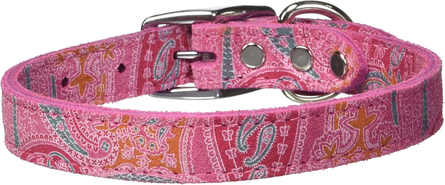 6247-SD20 Paisley Pattern Leather Dog Collar, Sand