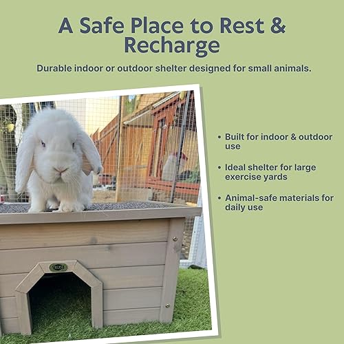 Miniatura 4 de TRIXIE natura Casa para Animales Pequeños, Refugio para Conejos, Casa de Corral, Refugio para Conejos, Conejitos, Cobayas y Chinchillas, Gris-Verde