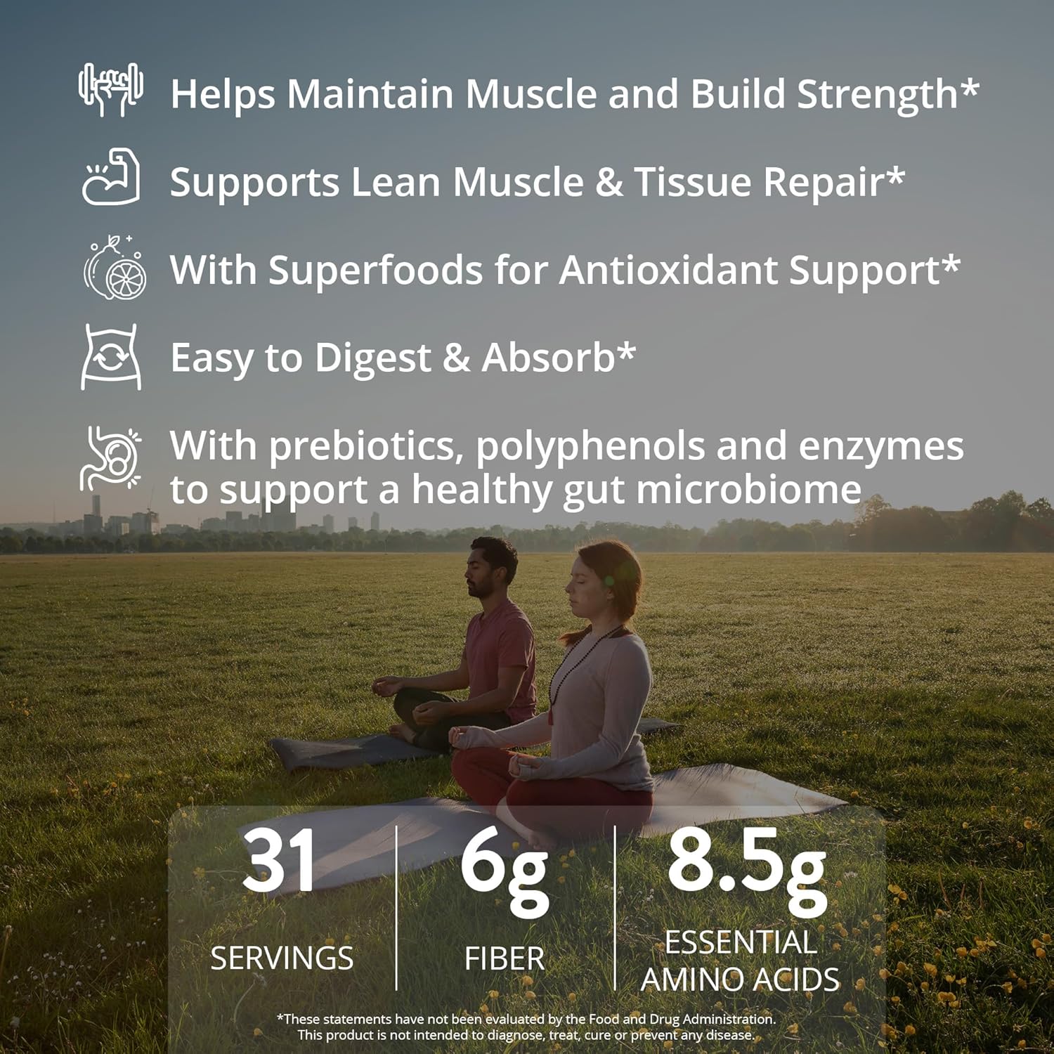 Nutrit Veggie Protein with Superfoods - Chocolate Flavored Protein
