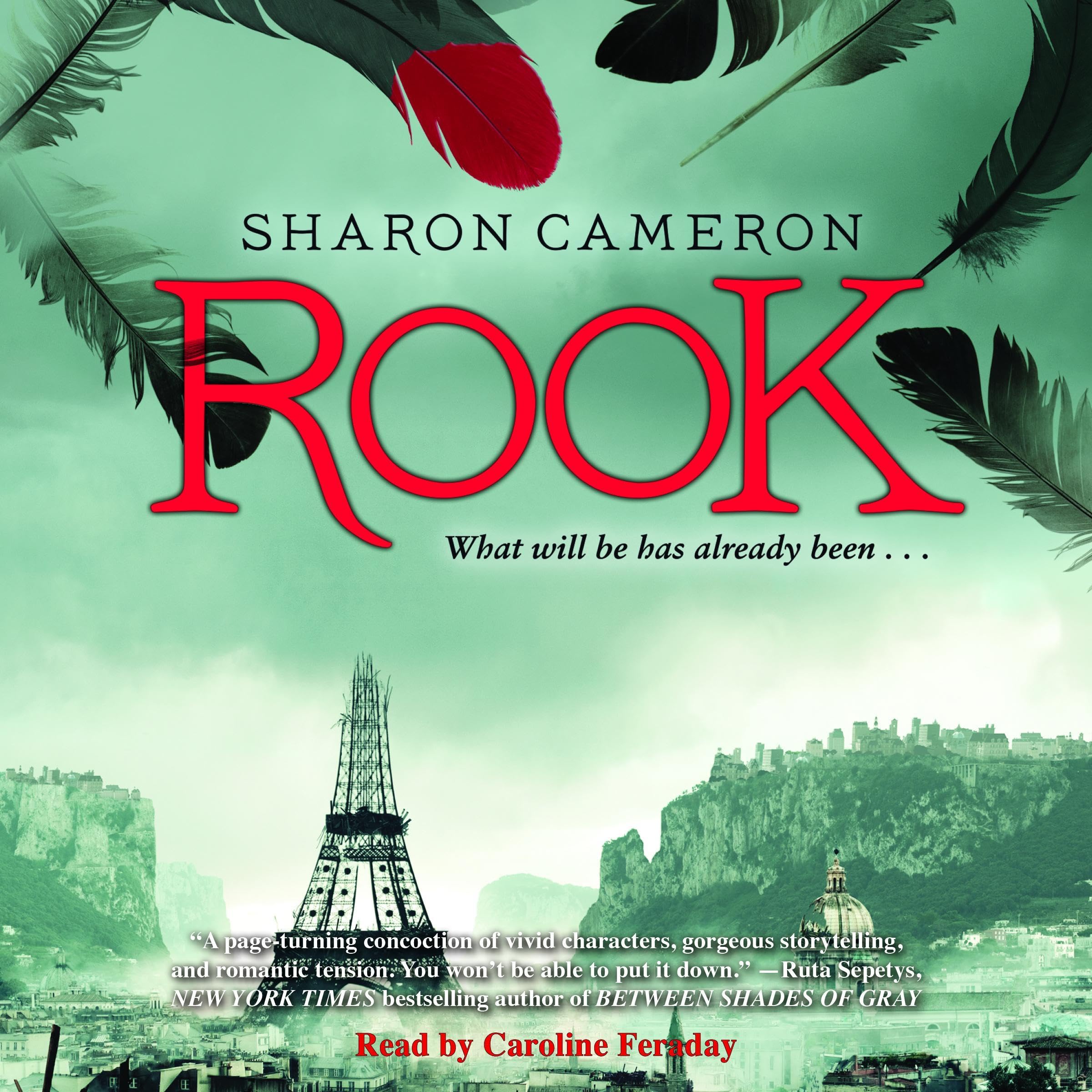 Cover art for Rook