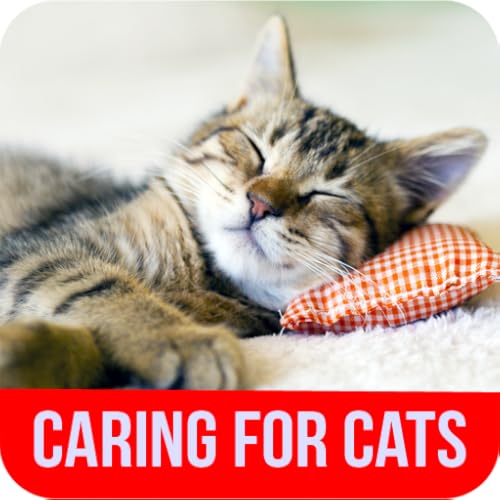Caring For Cats - //medicalbooks.filipinodoctors.org