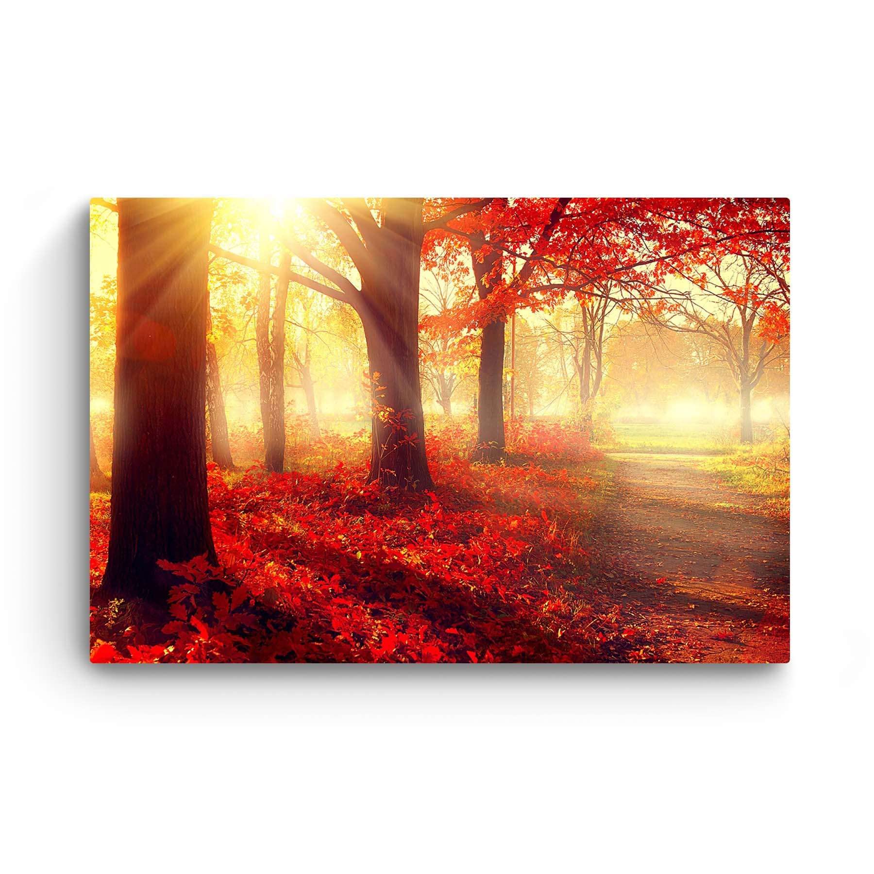Startonight Impression Sur Toile Parc d'Hiver, Tableau Paysage- Decoration Murale Salon Moderne - Image sur Toile - Grande 80 x 120 cm Idée Cadeau Élégante et Originale Effet Lumineux Nocturne