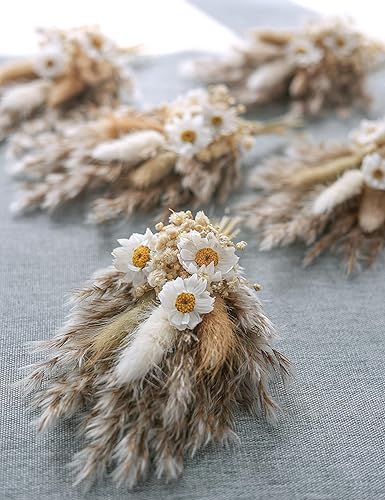 Miniatura 15 de xin's convey Mini Dried Flowert Set (Pack of 6), Orange Small Bouquet, Pampas Small Bouquet, Party Plate Decoration, Bridesmaid Flower Girl Proposal