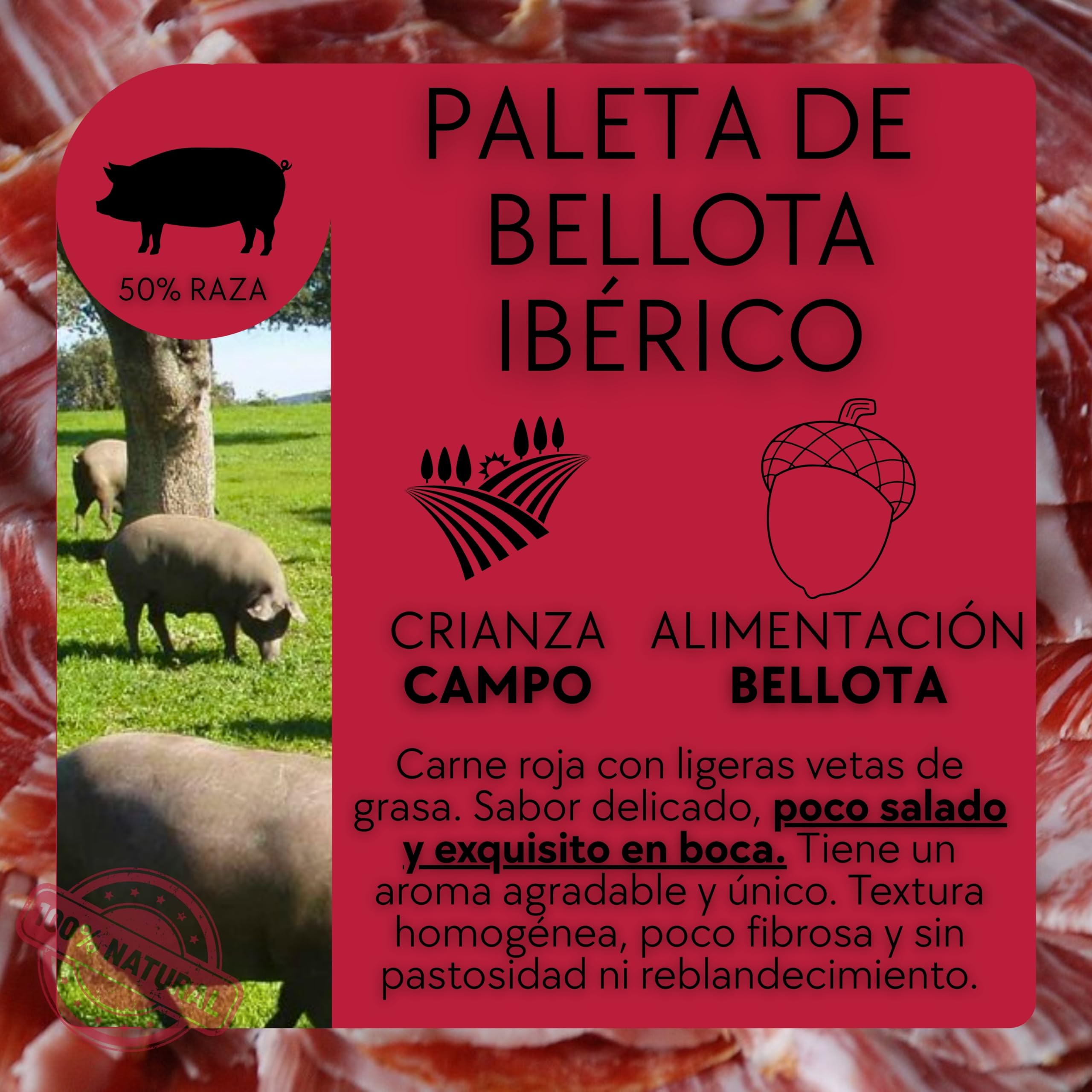 Jamon LOS CALVO Lote Loncheado Paleta Iberica Cerdo Pata Negra | Maletín Paletilla Bellota 12 Sobres 960Gr + 200Gr Virutas y Tacos del Jamón Deshuesado de Regalo Embutidos Gourmet España 50% Ibérico