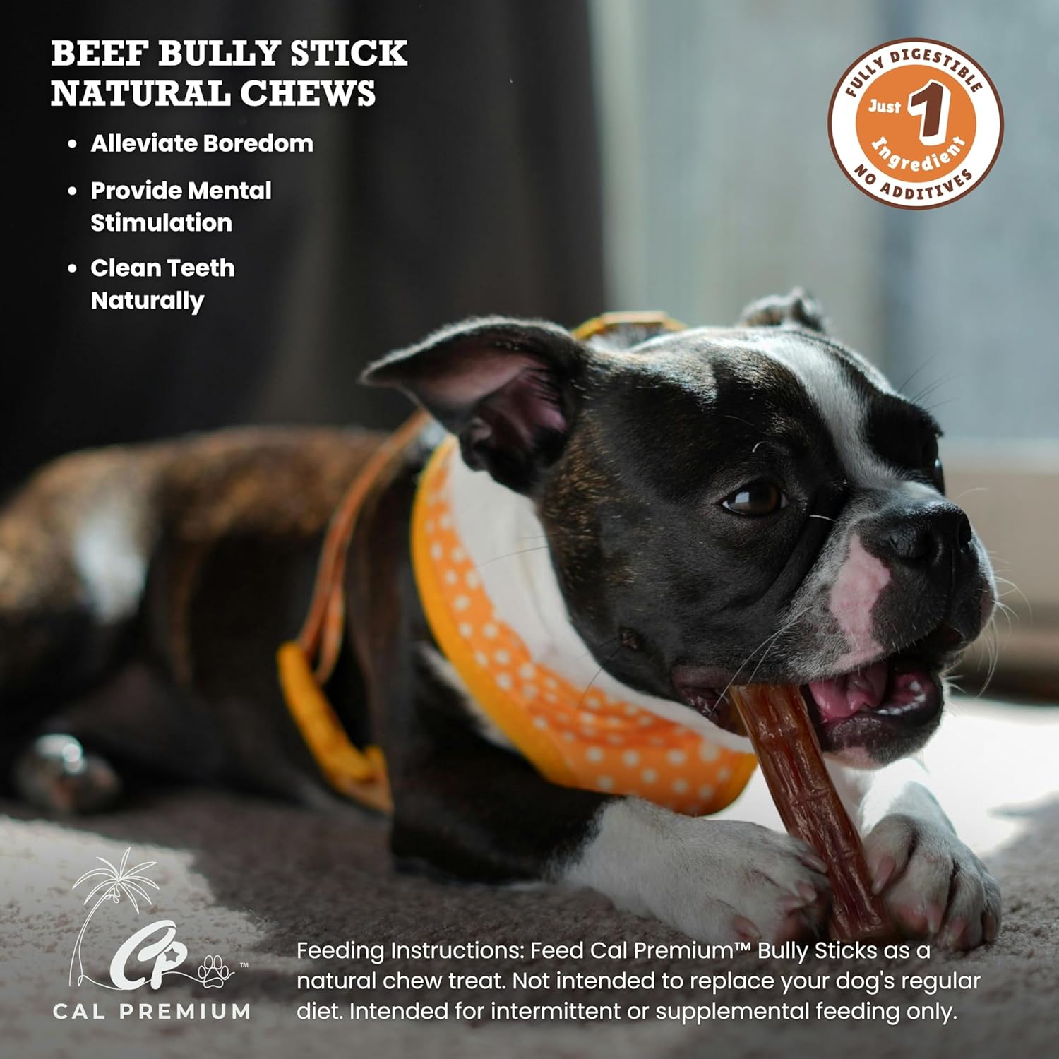 Natural Jumbo Bully Sticks for Dogs, 4-6 inch, 35 Counts, 100% USA Sourced & Made, Single Ingredient, Aggressive Chewer, Healthy Long Lasting Treats (Package May Vary)