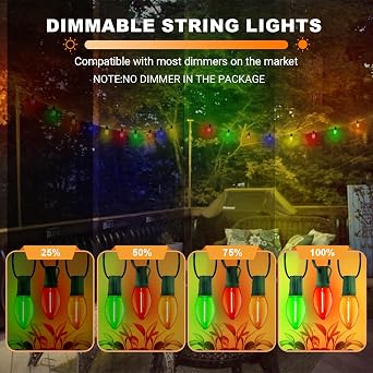 LAMPHOME Outdoor Christmas Lights 25FT C9 Vintage Christmas String Lights with 25LED, Hanging C9 Multicolor String Lights for Valentine's Day Garden Patio Backyard Party Decor, Green Wire