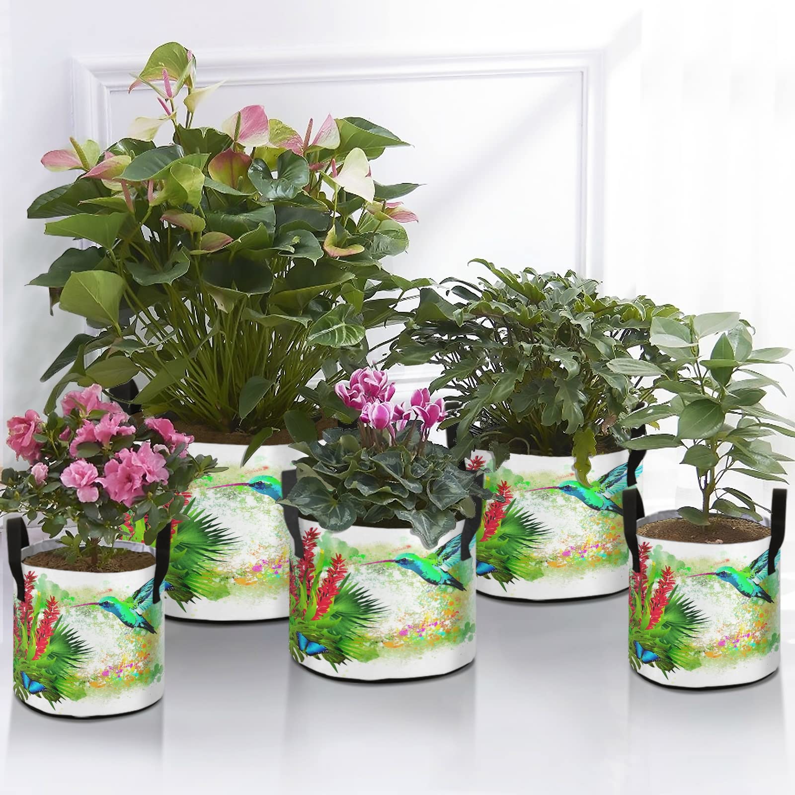 Bolsas Para Plantas 6 Bolsas De Siembra, Maceta De Tela No Tejida Con Asas  Para Plantar Patatas Tomates Fresas Verduras Flores Y Otras Plantas 2  Galones 86994926 Bolsas De Cultivo, image size:1600x1600