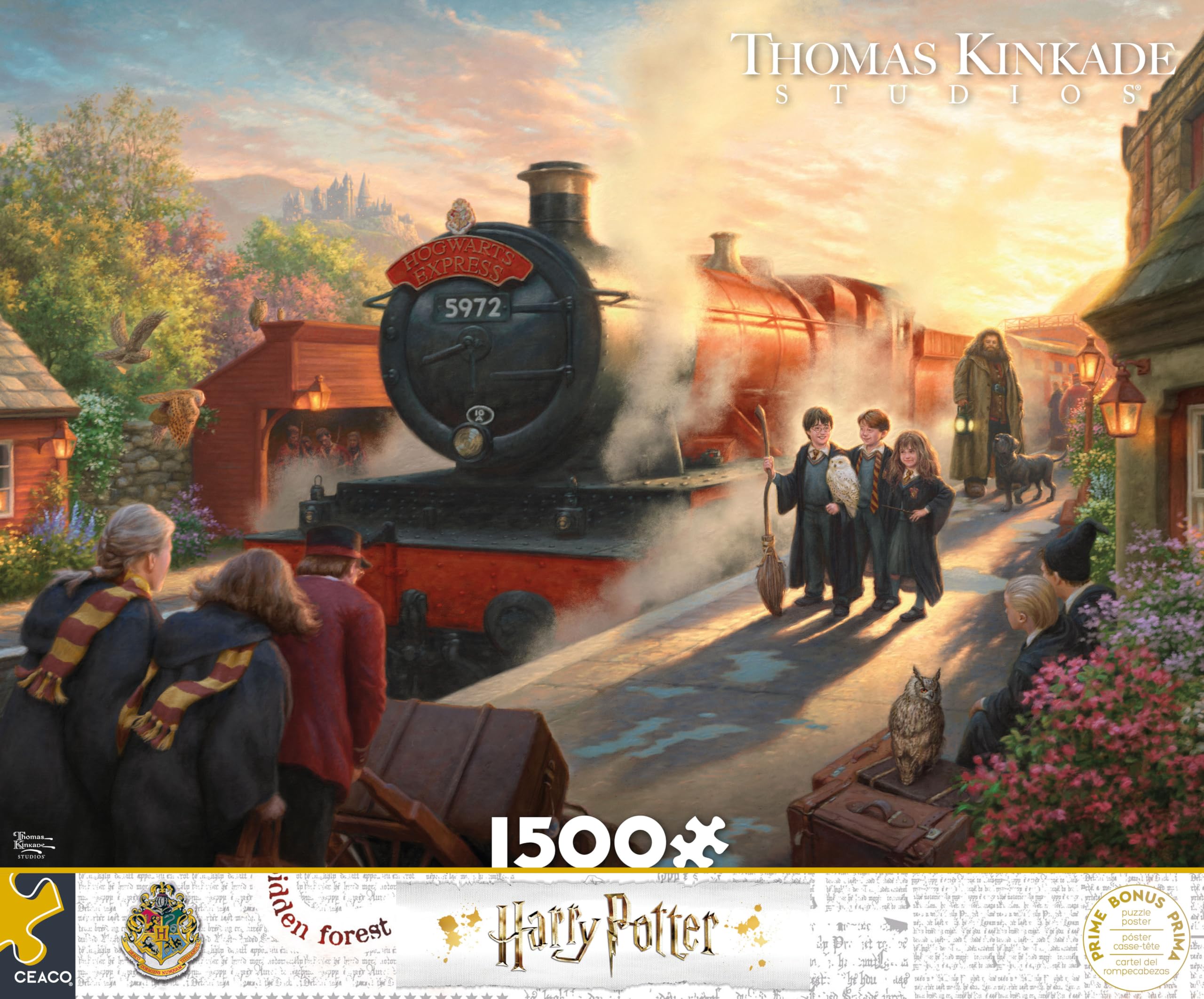 Amazon.com: Ceaco - Harry Potter - Hogwarts Express- 1500 Piece