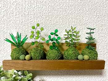 81Cfm1Vyf2L._AC_UF350, 81Cfm1Vyf2L._AC_UF350,