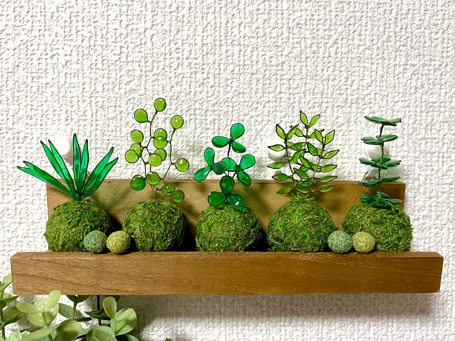 販売再開★完全品/ハイ苔5年物10個セット/庭や苔玉/厚約2cm/長47幅32 Amazon.co.jp: 【華みやび】ミニ苔玉キット 3個分セット 5センチ