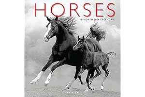 Graphique 2024 Horses Wall Calendar