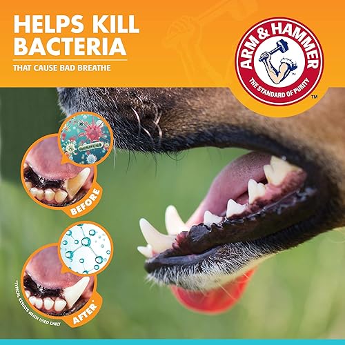 Miniatura 5 de Arm and Hammer Fresh Breath Kit dental para mascotas cepillo de dientes para mascotas y pasta de dientes para mascotas con bicarbonato de sodio kit