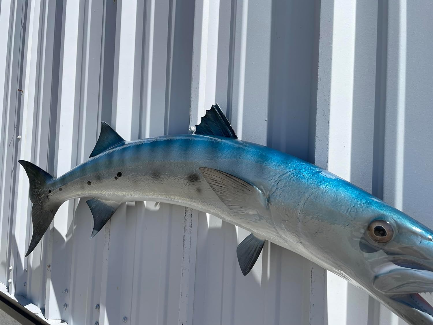 Barracuda Fish Wall Mount Fish Replica, Fishing Wall & Coastal Decor