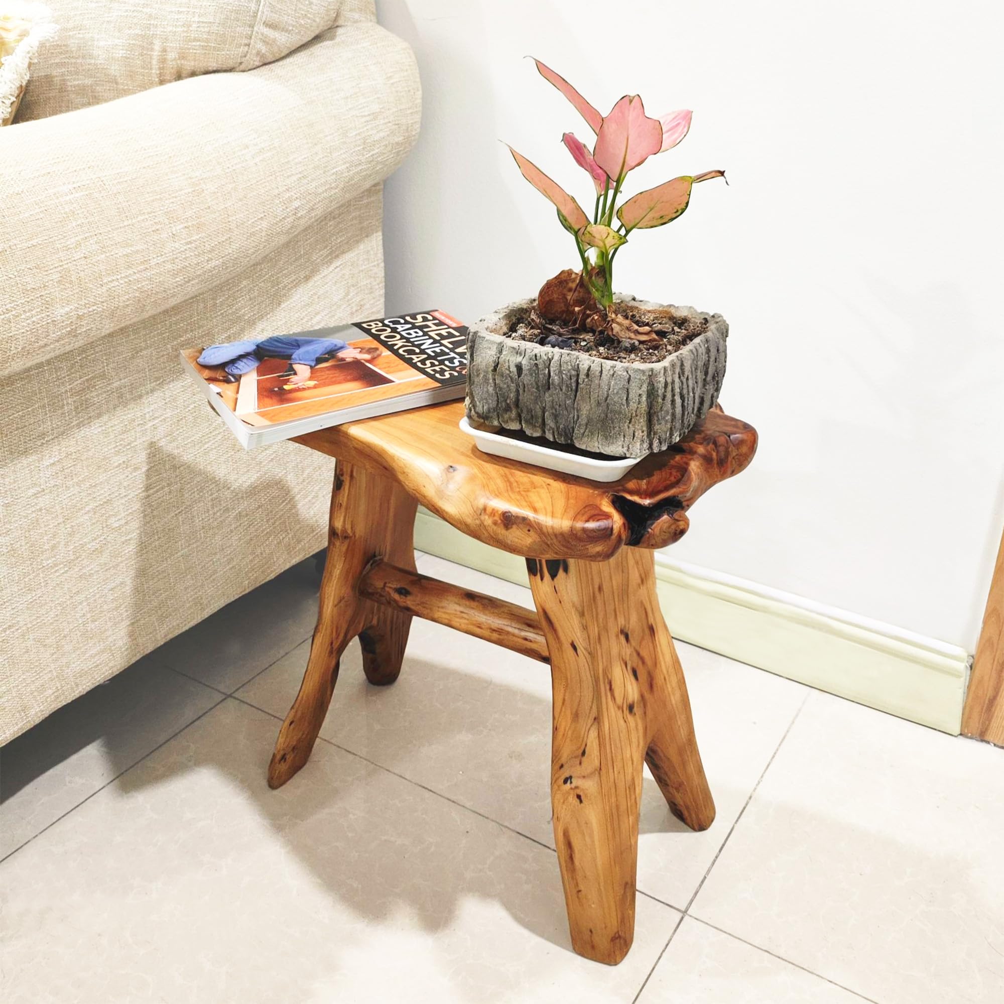 Amazon.com: Brefhome Wood Tree Stump Stool Plant Stand Side Table