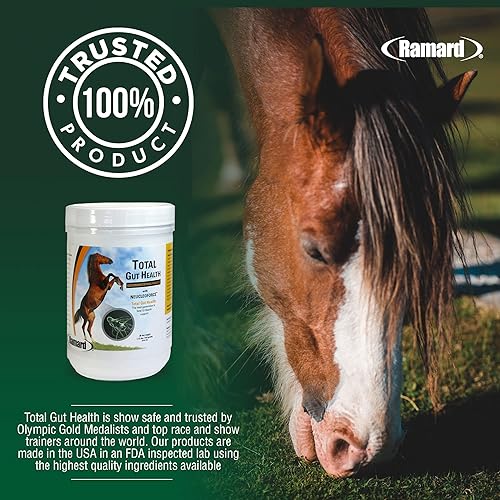 Vista 15 de Ramard Total Gut Health Equine Digestive Support - Suplemento de salud intestinal equino probióticos para caballos, vitaminas intestinales