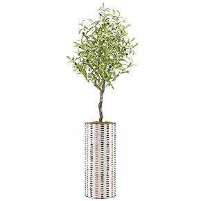 SIGNWIN Olive Tree with Red & Black Alternating...