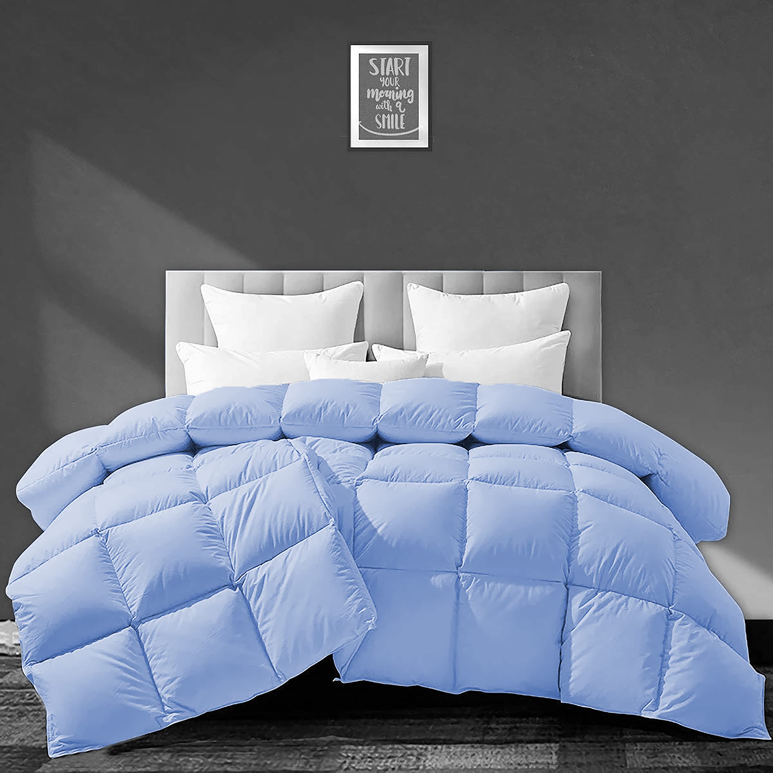 Filbert - All Season 250 GSM Comforter Super Soft Fluffy Comforter (90" x 90" Inches/228cm x 228cm) - Queen Size Comforter|Sky Blue (B09F3R2WZ8) Amazon Price History, Amazon Price Tracker