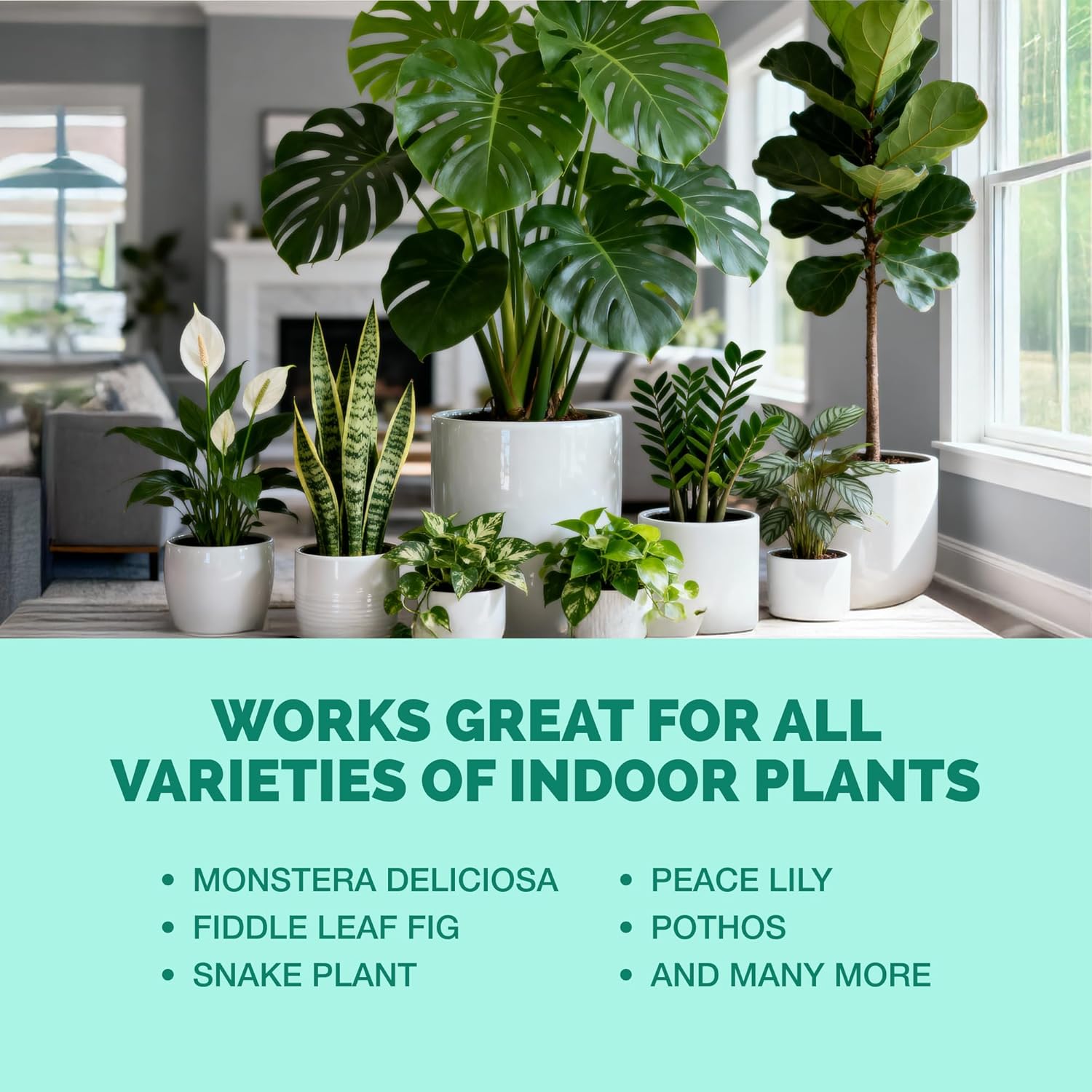 Indoor Plant Food – Liquid Fertilizer for Houseplants, New Growth, Greener Leaves, and Strong Roots, 32oz